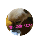 豆助語録（個別スタンプ：30）