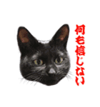 ひふみちゃんスタンプ（個別スタンプ：28）