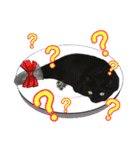 ひふみちゃんスタンプ（個別スタンプ：31）
