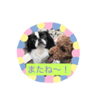 ひまコナスタンプ第1弾（個別スタンプ：3）