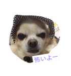 ビビとルル（個別スタンプ：3）