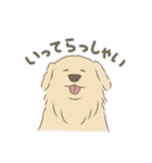 ひかるとリッキー（個別スタンプ：1）