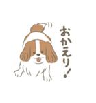 ひかるとリッキー（個別スタンプ：4）