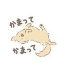 ひかるとリッキー（個別スタンプ：5）