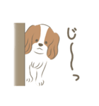 ひかるとリッキー（個別スタンプ：6）