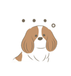 ひかるとリッキー（個別スタンプ：13）