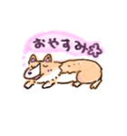 コーギーのハナちゃん（個別スタンプ：3）