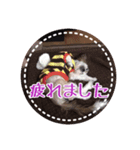 シーズー・エメちゃん③（個別スタンプ：15）