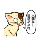 高圧的な猫スタンプ（個別スタンプ：1）