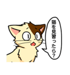 高圧的な猫スタンプ（個別スタンプ：2）