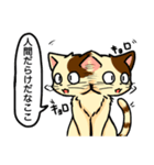 高圧的な猫スタンプ（個別スタンプ：3）