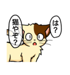 高圧的な猫スタンプ（個別スタンプ：4）