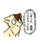 高圧的な猫スタンプ（個別スタンプ：6）