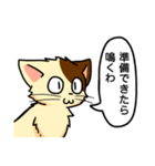 高圧的な猫スタンプ（個別スタンプ：7）