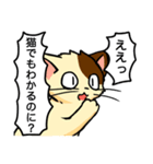 高圧的な猫スタンプ（個別スタンプ：10）