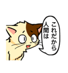 高圧的な猫スタンプ（個別スタンプ：11）