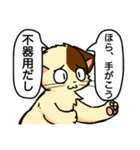 高圧的な猫スタンプ（個別スタンプ：12）