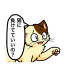高圧的な猫スタンプ（個別スタンプ：14）