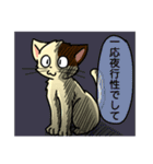 高圧的な猫スタンプ（個別スタンプ：15）
