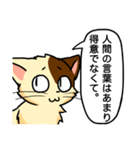 高圧的な猫スタンプ（個別スタンプ：16）