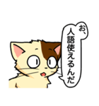 高圧的な猫スタンプ（個別スタンプ：18）