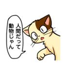 高圧的な猫スタンプ（個別スタンプ：20）