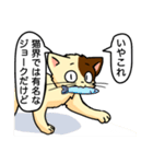 高圧的な猫スタンプ（個別スタンプ：21）
