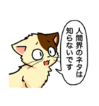 高圧的な猫スタンプ（個別スタンプ：24）