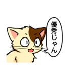 高圧的な猫スタンプ（個別スタンプ：26）