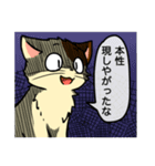 高圧的な猫スタンプ（個別スタンプ：30）