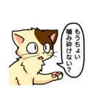 高圧的な猫スタンプ（個別スタンプ：32）