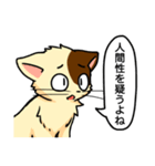 高圧的な猫スタンプ（個別スタンプ：33）