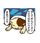 高圧的な猫スタンプ（個別スタンプ：34）