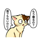 高圧的な猫スタンプ（個別スタンプ：36）