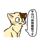高圧的な猫スタンプ（個別スタンプ：38）