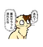 高圧的な猫スタンプ（個別スタンプ：39）
