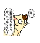 高圧的な猫スタンプ（個別スタンプ：40）