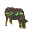 なんくるどうぶつ（個別スタンプ：6）