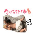 楓たん（個別スタンプ：5）