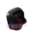 にいなによるにいなのスタンプ（個別スタンプ：14）