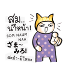 タイ語日本語を学ぶために毎日チャット #2（個別スタンプ：23）