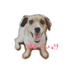 Luanaのきもち（個別スタンプ：4）