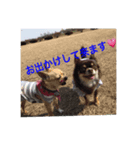 我が家の動物(￣▽￣)（個別スタンプ：5）