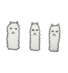 かわいい動物のあいさつスタンプ（個別スタンプ：19）