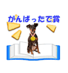冬を乗り切るミニピンスタンプ2（個別スタンプ：3）