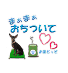 冬を乗り切るミニピンスタンプ2（個別スタンプ：9）