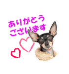 冬を乗り切るミニピンスタンプ2（個別スタンプ：11）