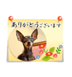 冬を乗り切るミニピンスタンプ2（個別スタンプ：14）
