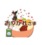 冬を乗り切るミニピンスタンプ2（個別スタンプ：16）