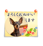 冬を乗り切るミニピンスタンプ2（個別スタンプ：18）